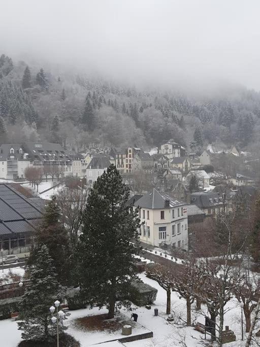Le Sarciron 82 Apartment Le Mont-Dore Exterior foto